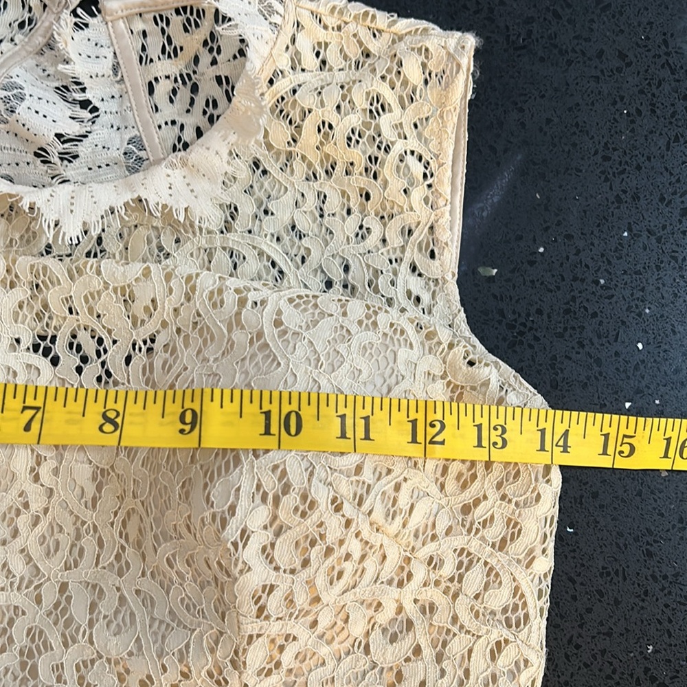 Feather and Lace Dress - Picture 11 of 14